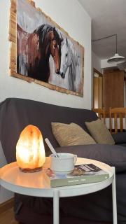 Los caballos Ordesa l Garaje l Céntrico - 4