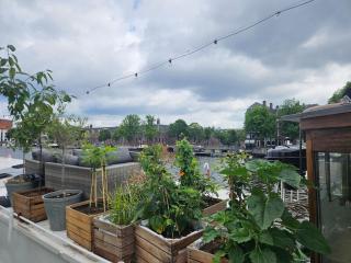 Woonboot - Houseboat Amsterdam - 5