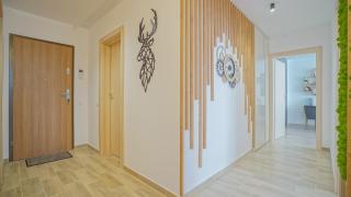 Urban Comfort Apartment Brasov - 5