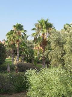 Dar Mïa - 4