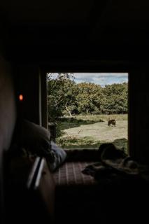 The Little Welsh Cottage - Brynmenin - 9