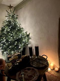 The Little Welsh Cottage - 4