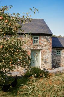 The Little Welsh Cottage - 7