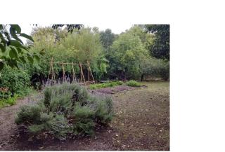 Casa de montaña en Los Hornillos Traslasierra Sierras de Cordoba - 4