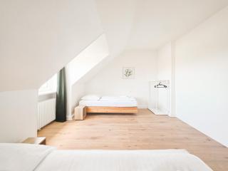 Tolstov Apartments - 3 Room Attic Apartment - Kitchen - 5 min to Messe DUS - 3