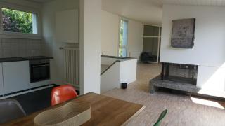 Atrium house 15 minutes from Zurich - 1