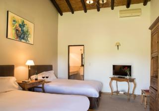 Postales by DOT Boutique - Colonia Las Rosas - 2