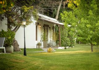 Postales by DOT Boutique - 0