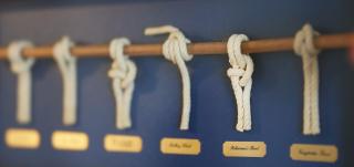 Am Ringwall 91 - Seelöwe B - 3