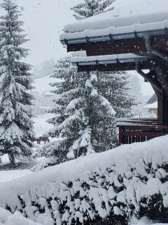 3-room garden apartment in Megève - 0