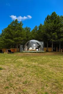Bubble Room Experience - 7