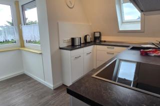 RosenRot am Meer 3 - 2