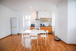 T2 lumineux au cœur de St Palais - 6