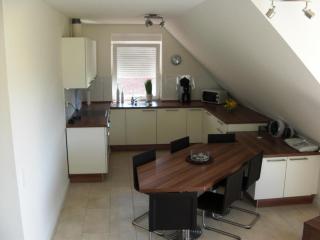 Strandkrabbe Borkum - 9