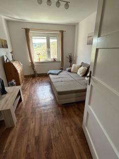 Gemütlich wohnen in Blankenstein am Rennsteig - 7