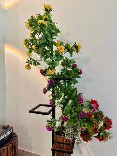 Green Mysore 2BHK Apartment 1km from railway station - 4