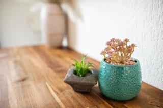 Studio Cosy, Accès Plage - 2