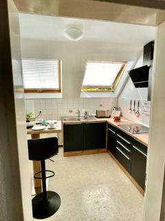 -Am Pfühlpark- Ferienwohnung - 2