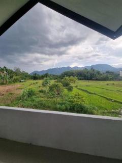 Sawah Resto Bungalow & Jungle Trekking - 5