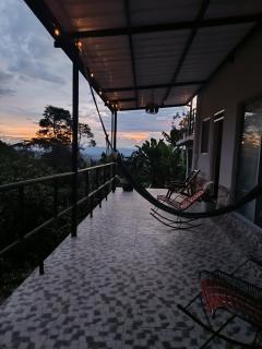 Authentic coffee farm - 0