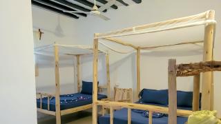 Mufassa Beach Hotel - 1