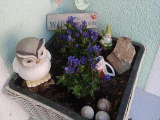 Wohlfühlwohnung - Rappottenstein - 8