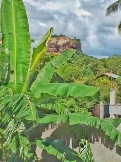 Sigiriya Rithu Home - 0