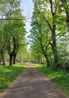 Domaine Rauly - Puygaillard-de-Quercy - 8