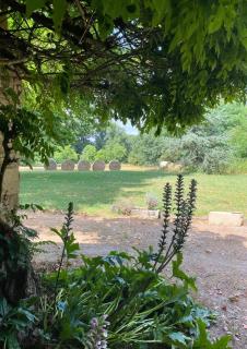 Domaine Rauly - Puygaillard-de-Quercy - 5