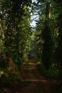 Pepper Nut Homestay - 9