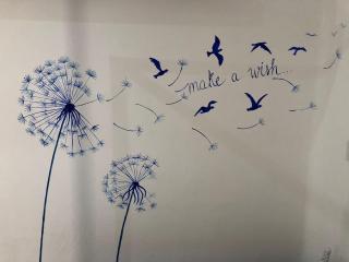 Front of the Caribbean Sea, Prestigious residence - 8