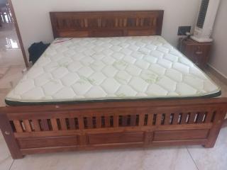 Bathel Woods Thekkady - 0