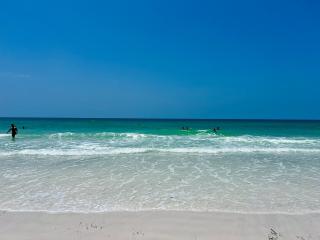 Near Anna Maria, LECOM & IMGRenovatedFenced Yard - 6