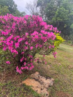Rancho Nippon - 8
