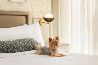 Ermita Cartagena, a Tribute Portfolio Hotel - 1