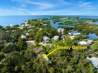 Beautiful Breezy Banyan - 9