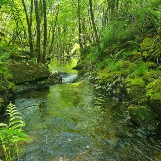 Villa Mallorquina tu zona para desconectar - 8