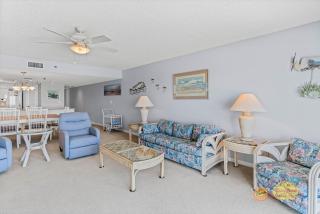 Sand Dollar 306 - 6