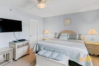 Sand Dollar 306 - 1