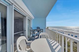 Sand Dollar 404 - 9