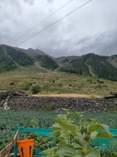 Rao cottage - 9