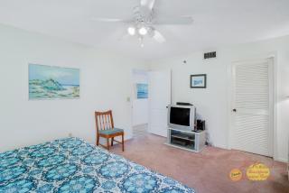 Sand Dollar 409 - 1