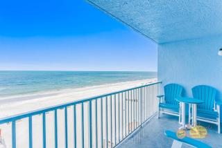 Sand Dollar 504 - 0
