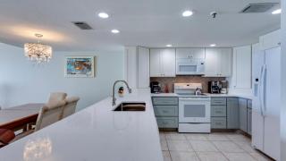 Sand Dollar 506 - 3