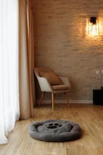 Cabana Musafir - 2