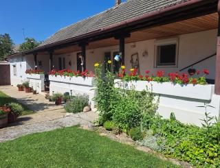 Haus Wegleitner - Apetlon - 9