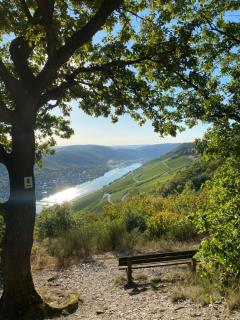 Apartment an der Mosel 2 - 8
