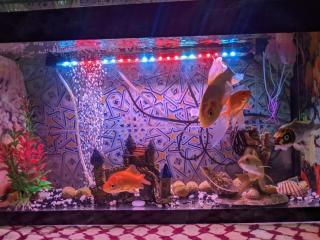 redhouse - Marrakech - 5