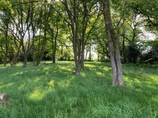Northleigh Barn - 9