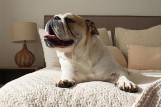 Kaylie's Place, Elegant Holiday Home with Garden - 1